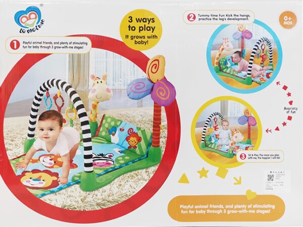 אוניברסיטה ידים ורגלים